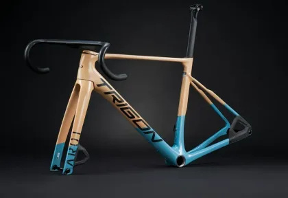 Trigon AR01 Fade-Light 2026, Modrá/Hnedá