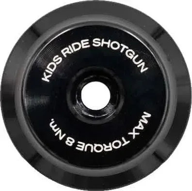 Kids Ride Shotgun