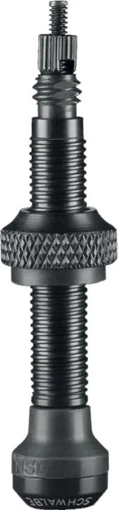 Ventil SV Tubeless 60mm 2ks