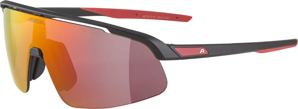 ALPINA Okuliare TURBO PRO YOUTH black matt