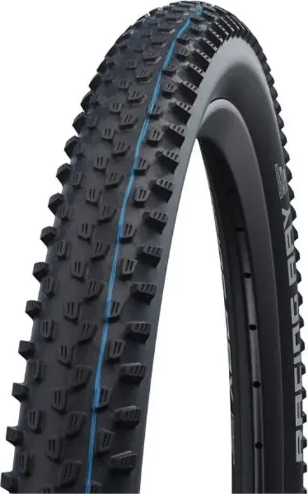 Plášť RACING RAY 29x2.35 (60-622) 67EPI 730g TLE Evo Super Ground Addix SpeedGrip skladací