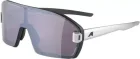 ALPINA Okuliare BONFIRE MAG black-alu matt Q+black