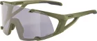 ALPINA Okuliare HAWKEYE olive-matt Q-LITE V