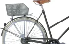 Basil CENTO FLOWER S