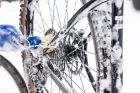 Park Tool súprava kief na čistenie kolesa PT-BCB-5-
