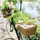 Basil CENTO RATTAN